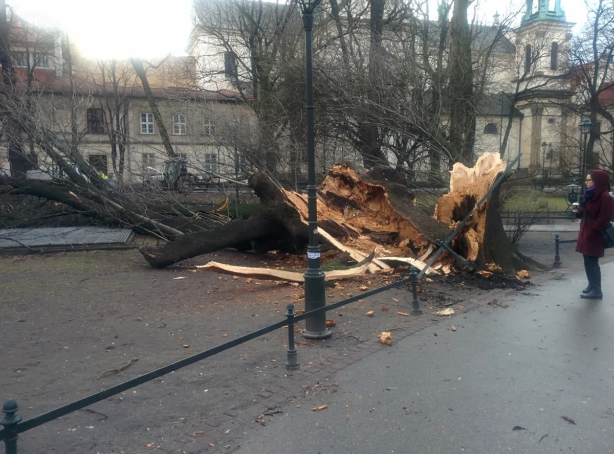 W Małopolsce szalała wichura, ale na szczęście obyło się bez większych szkód
