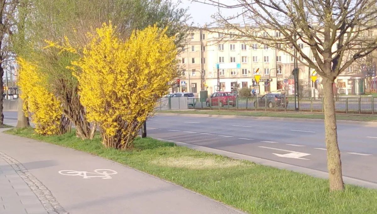 W ciągu dwóch lat powstanie 60 km ścieżek rowerowych za 100 mln zł