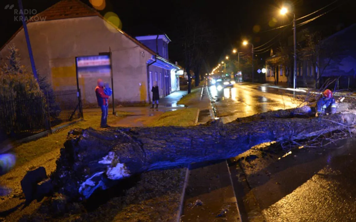 700 strażaków usuwało skutki nocnej wichury w Małopolsce. Bez prądu było ok.1000 domów