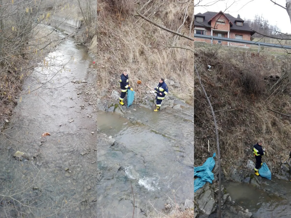 Ktoś wyrzucił 100 martwych kur nad potokiem Jastrzębik