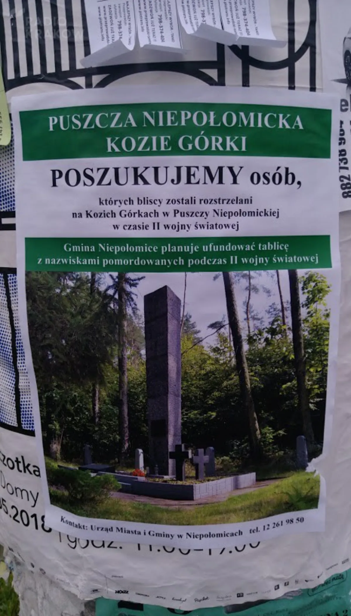 Urząd szuka informacji na temat zamordowanych w Puszczy Niepołomickiej
