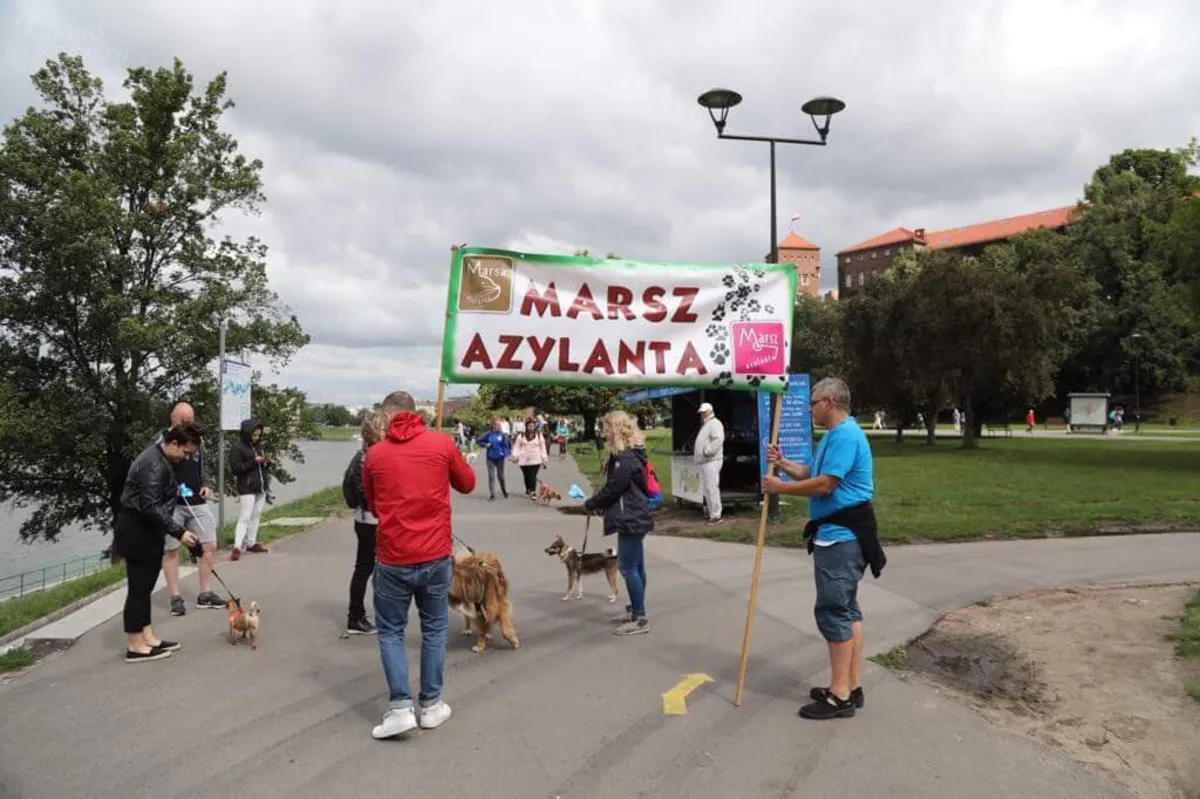 Do serca przytul psa - 8. Marsz Azylanta w Krakowie