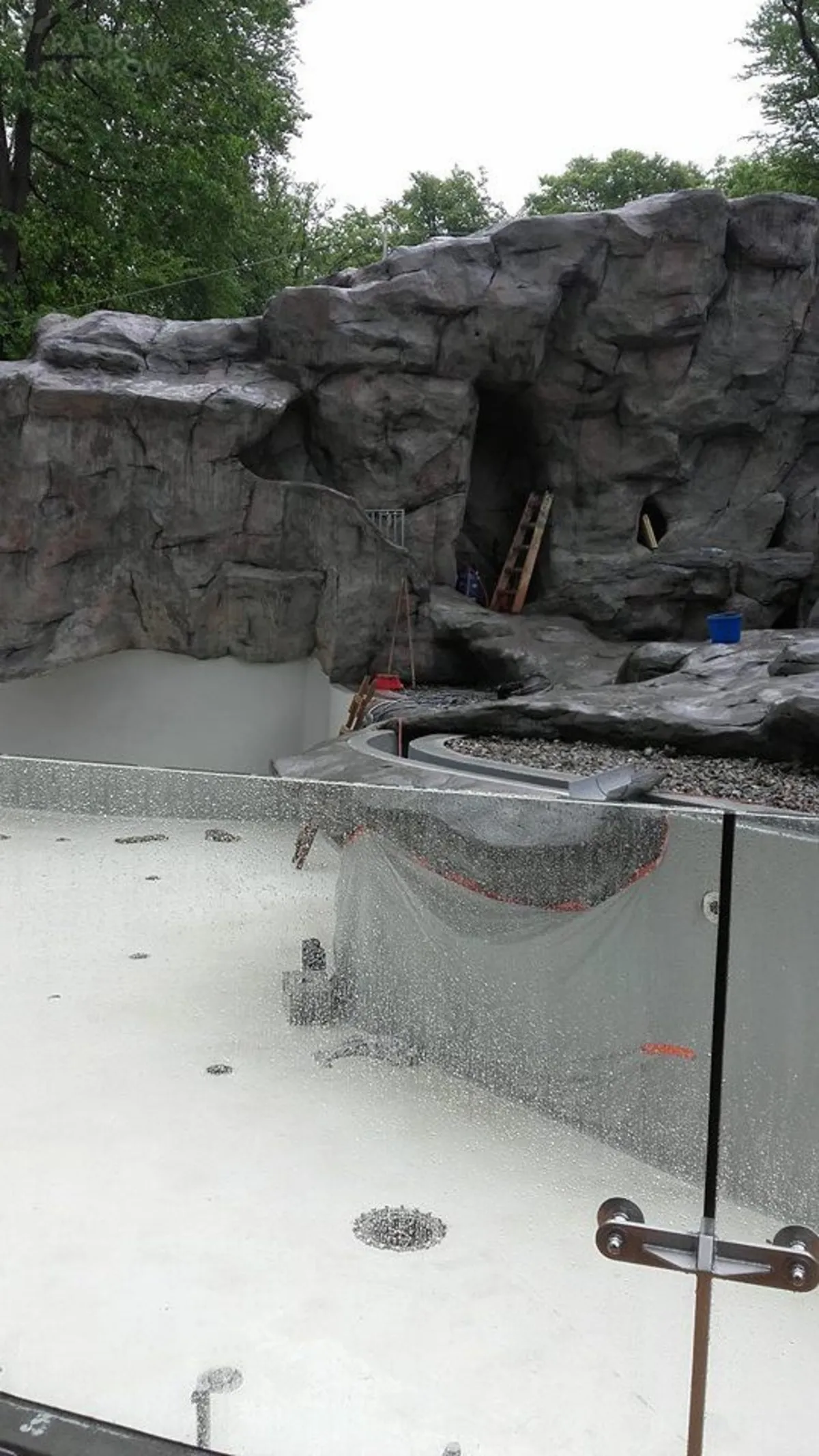 Krakowskie ZOO czeka na nowych lokatorów