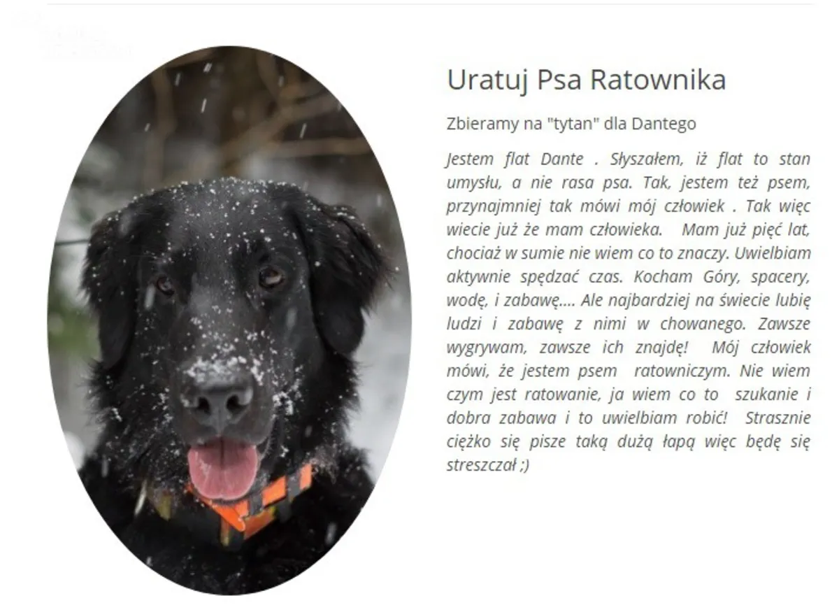 Ratownicy z Nowego Sącza zbierają pieniądze na leczenie psa ratownika