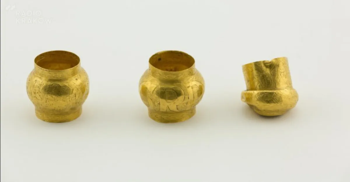 Rozpoczęły się prace archeologów w bazylice Dominikanów. "To wciąż terra incognita"