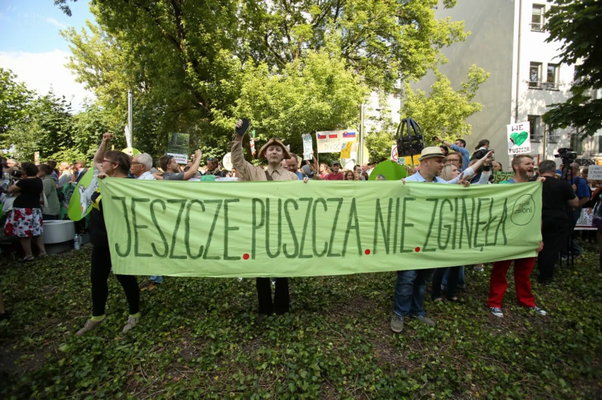 Czy po decyzji UNESCO skończy się wycinka w Puszczy Białowieskiej? 