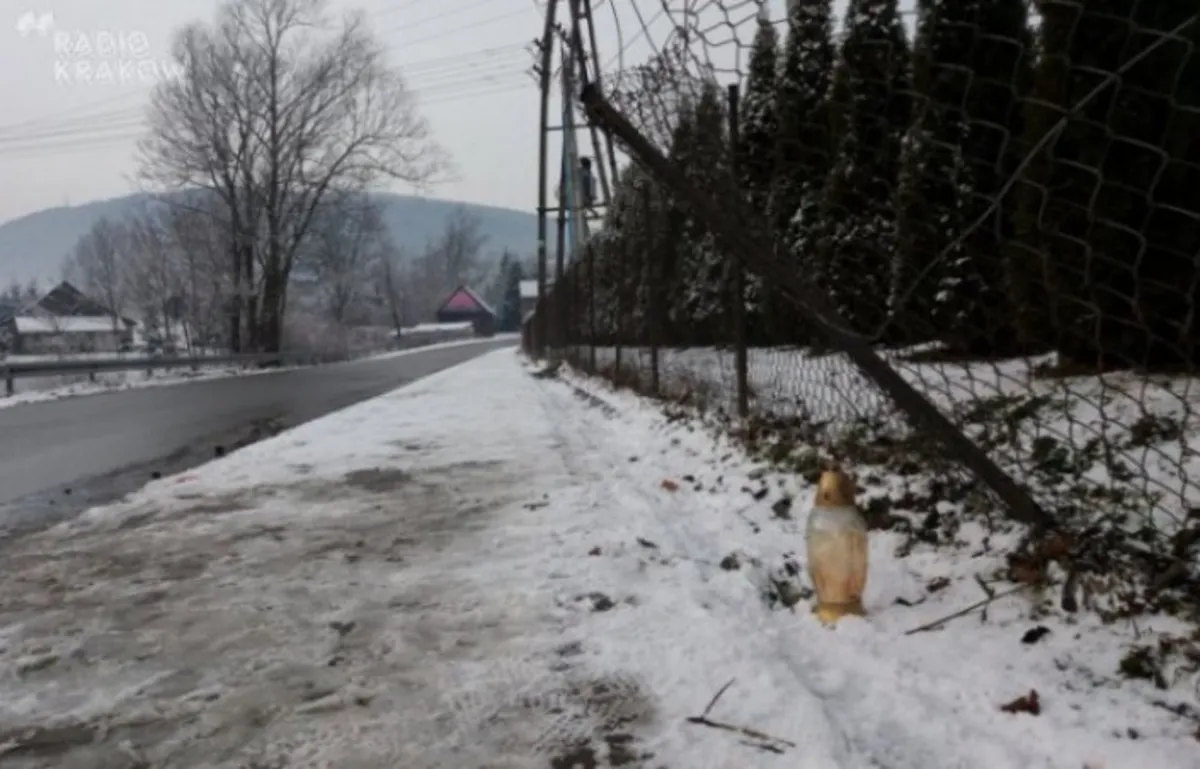 Koniec śledztwa ws. tragicznego wypadku w Świdniku. Od 2 do 12 lat więzienia dla sprawcy