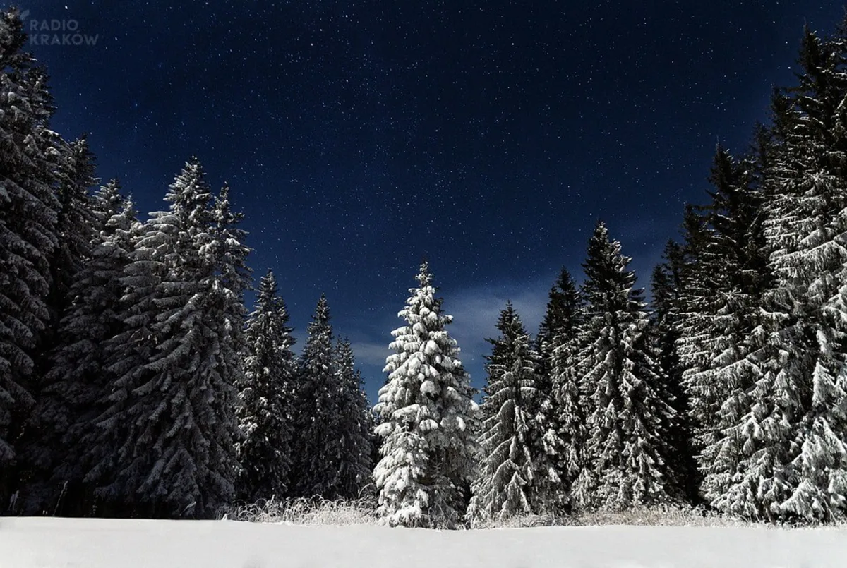 Beskid Sądecki: czterech turystów utknęło na szlaku