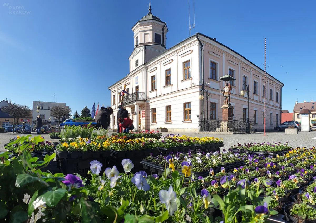 Rynek w Tuchowie zamienił się w wiosenny targ