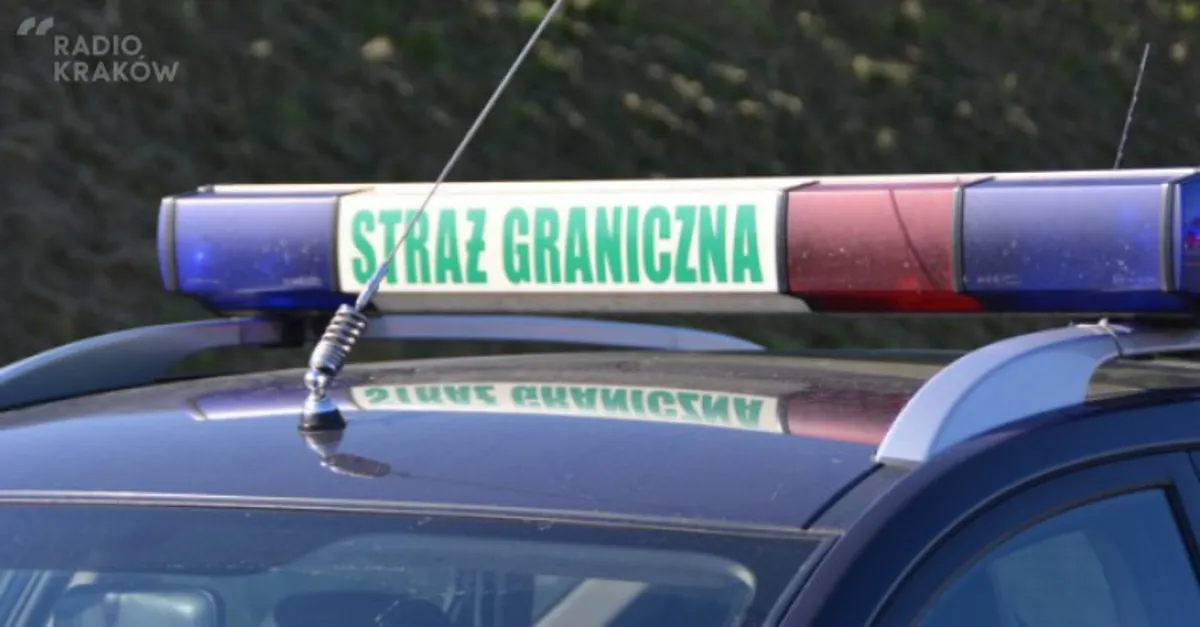 Straż Graniczna rozbiła grupę przestępczą przemycającą imigrantów