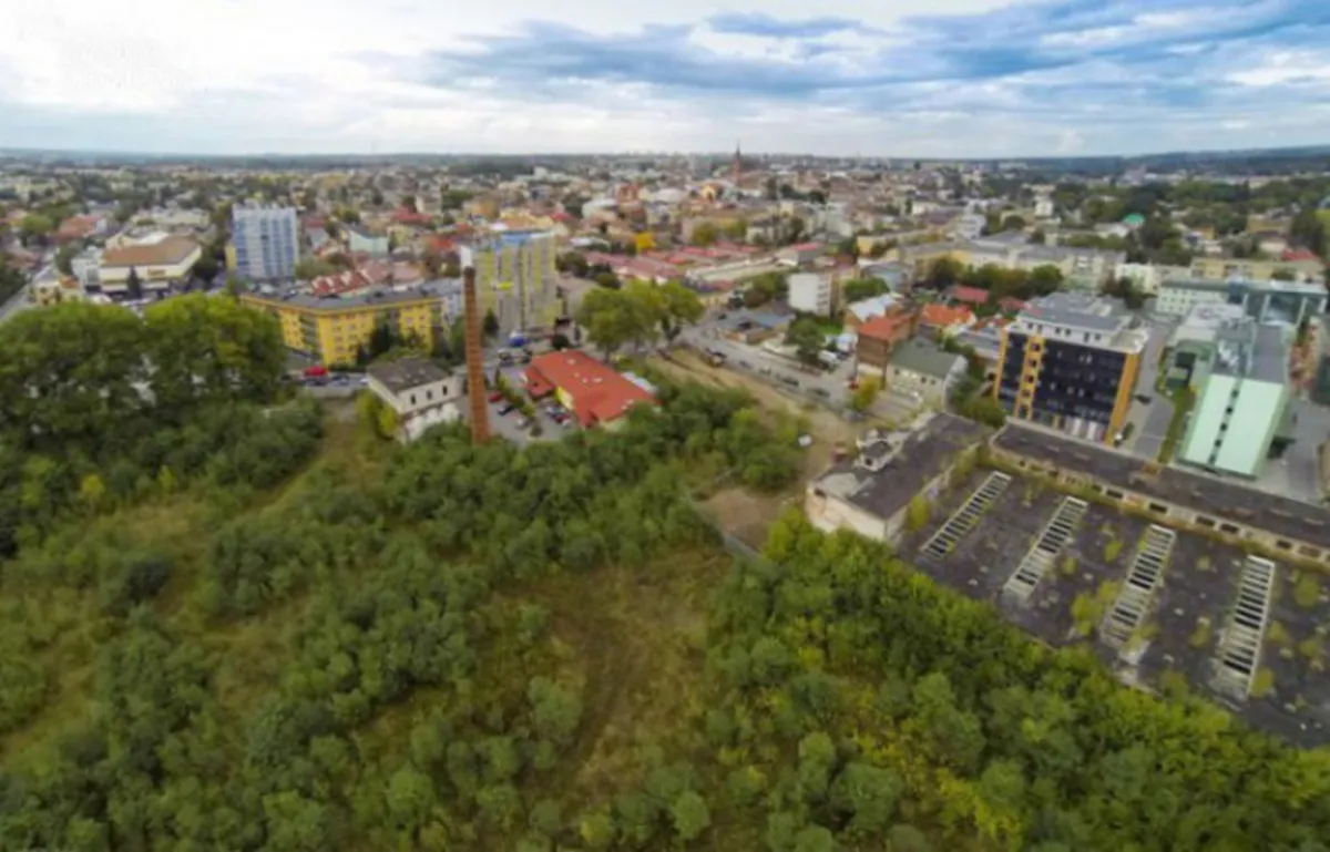 Jest kolejny krok ws. zaniedbanego terenu tarnowskiego Owintaru