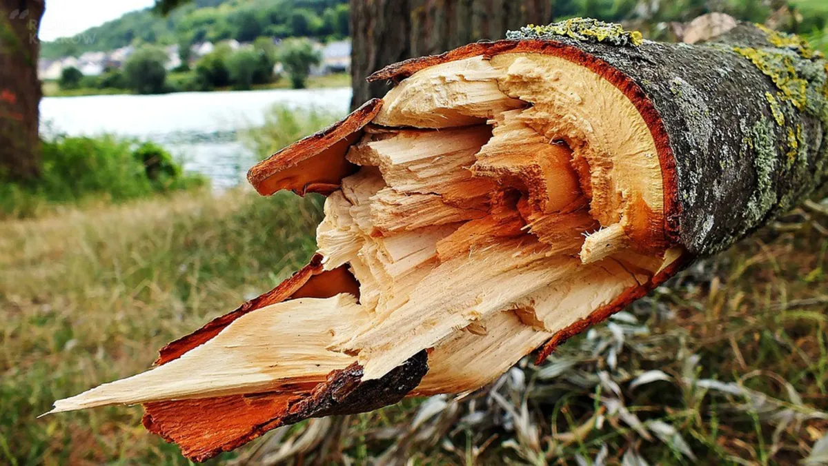 150 tys. zł z budżetu województwa małopolskiego na pomoc gminom na Pomorzu