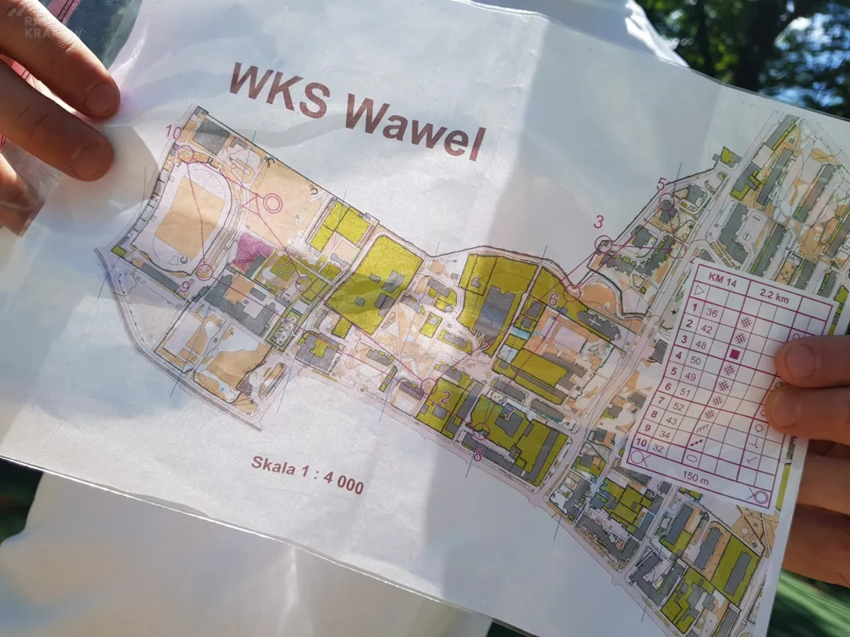 Biegowa Grupa Wsparcia: Bieg na orientację. ZAPOWIEDŹ