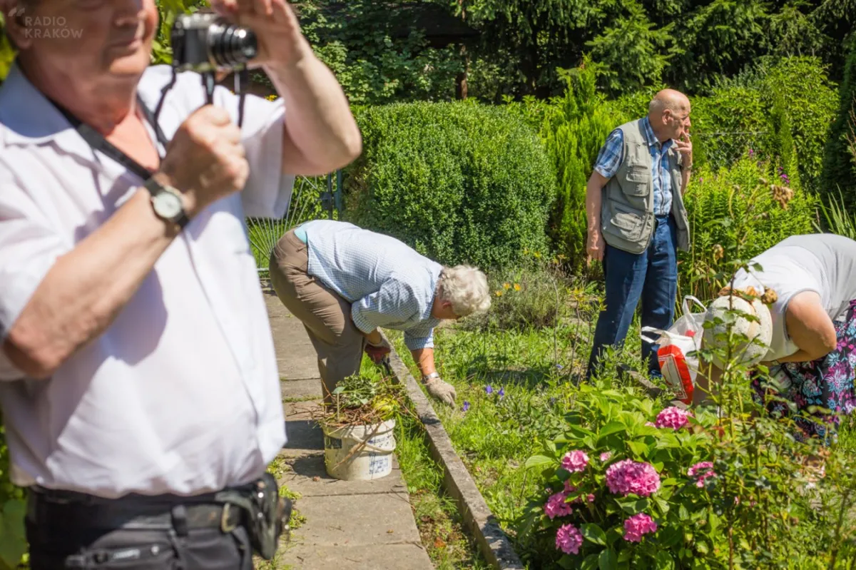 Jak zaktywizować seniorów w mieście? Wzoru szukajcie na Azorach
