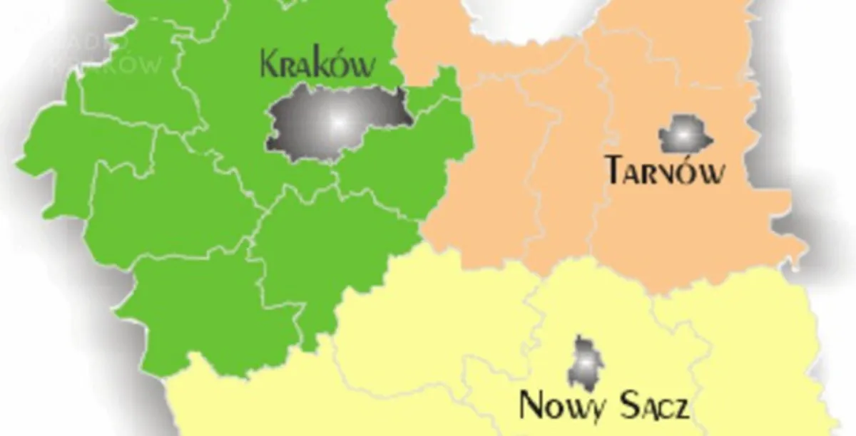 Zanieczyszczone powietrze w Nowym Sączu