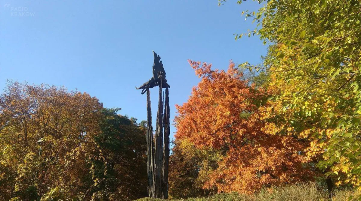Kolejne bloki zamiast zieleni na przedpolu Parku Lotników