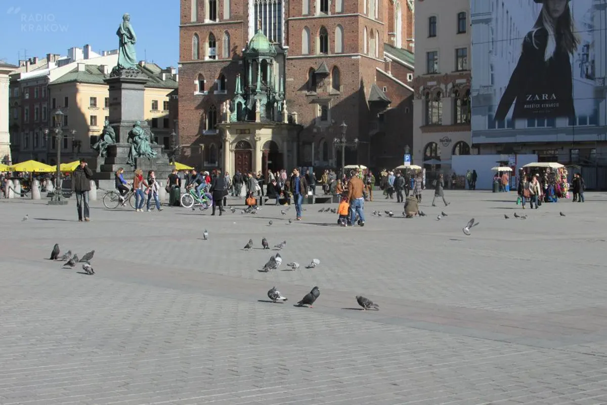 Na krakowskim Rynku Głównym jest coraz mniej gołębi. Ptaki przeniosły się na osiedla