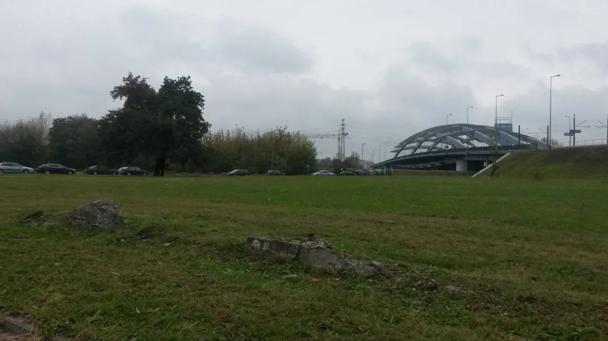 Mieszkańcy Zabłocia chcą parku, a nie parkingu. Aktywiści zbierają podpisy