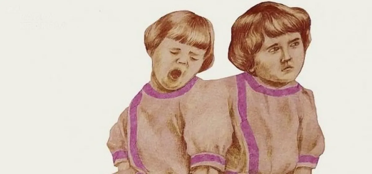 "Małe lisy" - <b>RECENZJA</b>