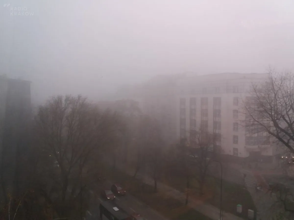 Fatalne warunki na drogach Krakowa i Małopolski. Mgła dokucza wszystkim