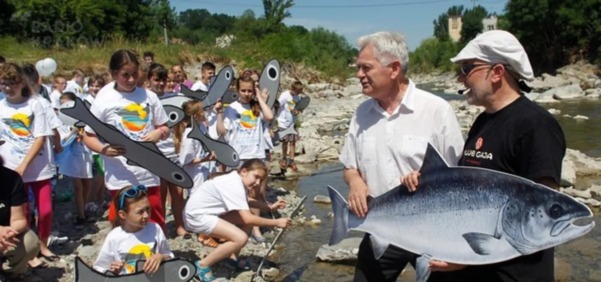 Sądecczyzna: Grybów będzie słynny... z łososia?