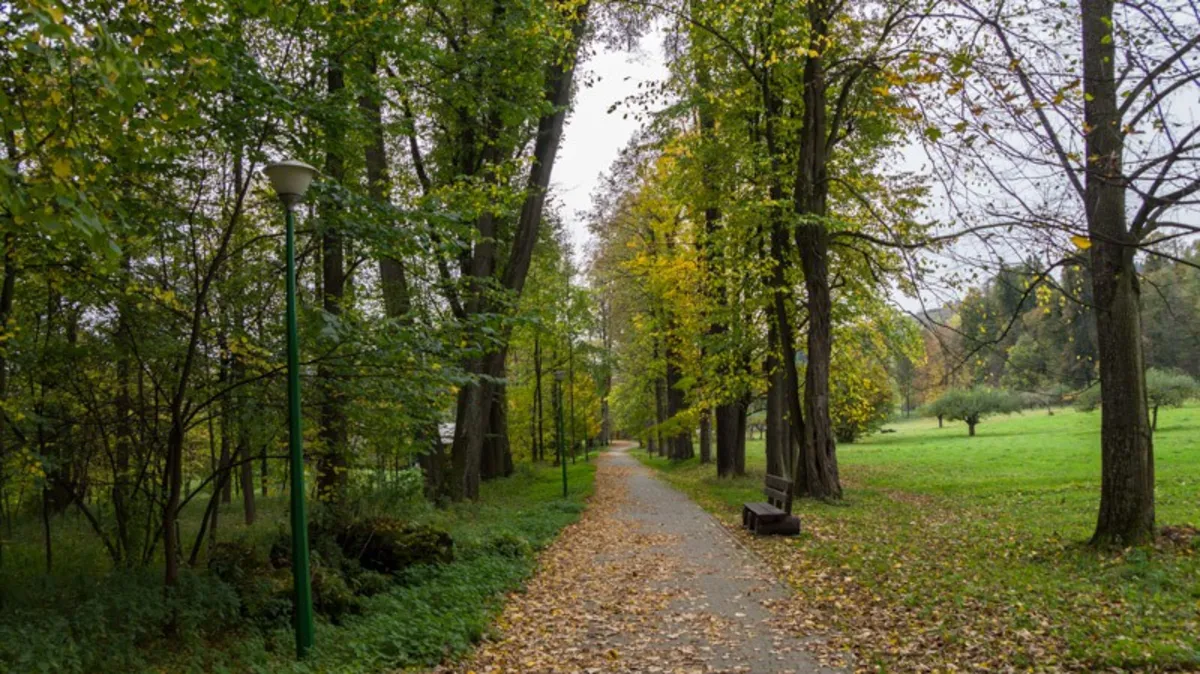 Limanowszczyzna: wieś Poręba Wielka stanie się kurortem?