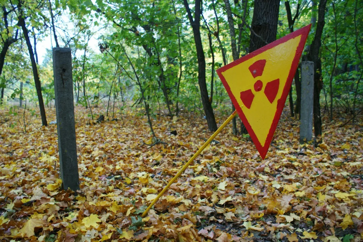  Czy Czarnobyl stanie się prawdziwą atrakcją  turystyczną?