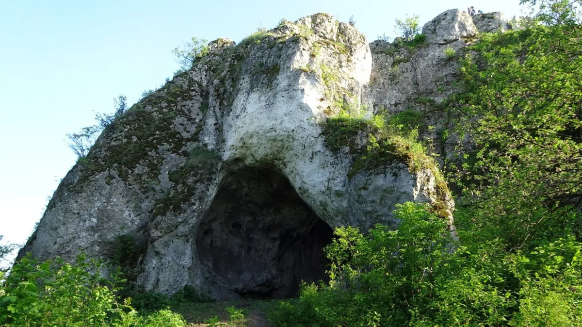 Archeolodzy zbadają wyjątkową jaskinię w Małopolsce 
