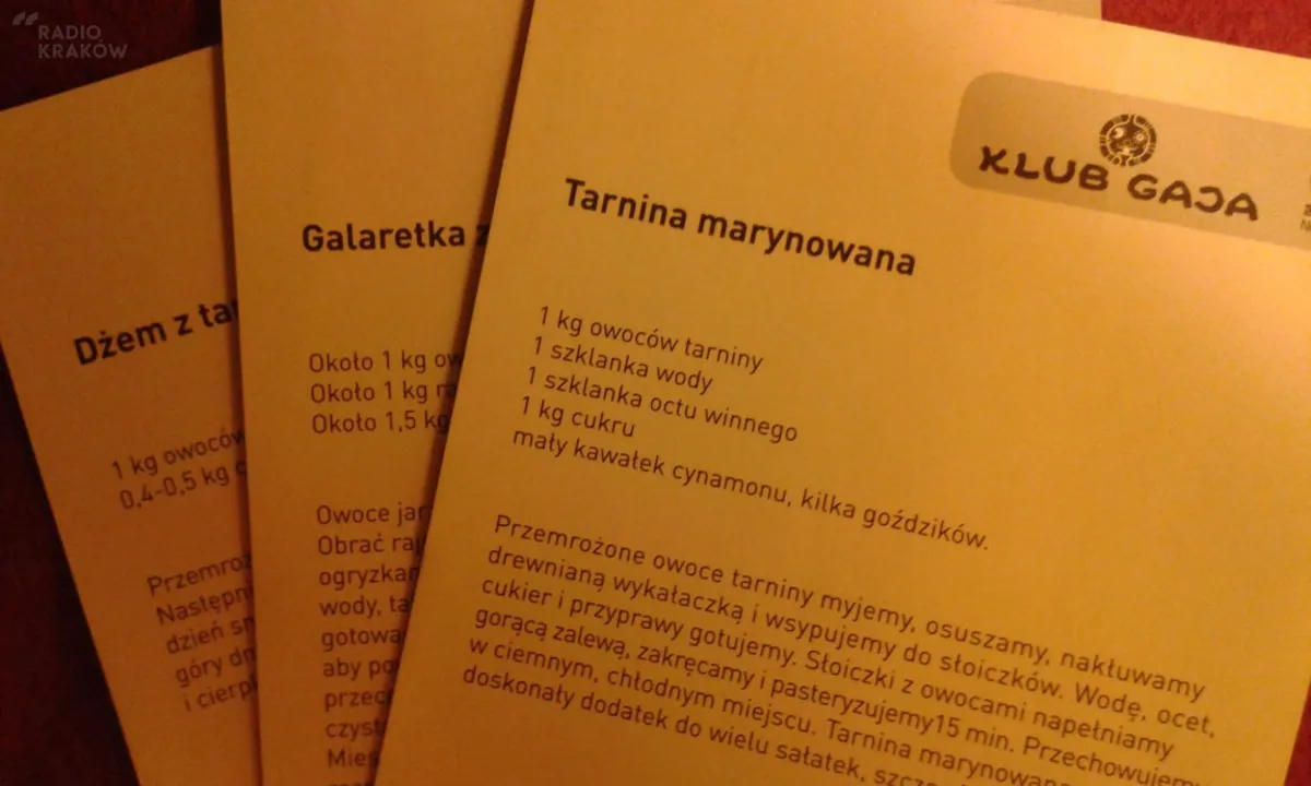 „Dzikie poznajemy i…. jemy”