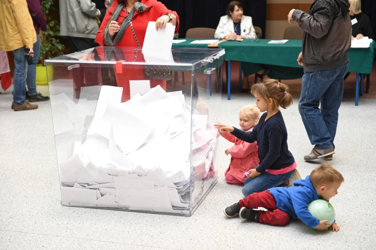 Ipsos: PiS wygrało wybory na wsi, Koalicja Obywatelska w większych ośrodkach