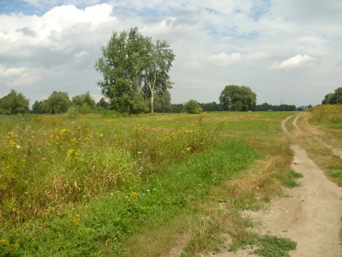 Błonia 2.0 na terenie Nowej Huty