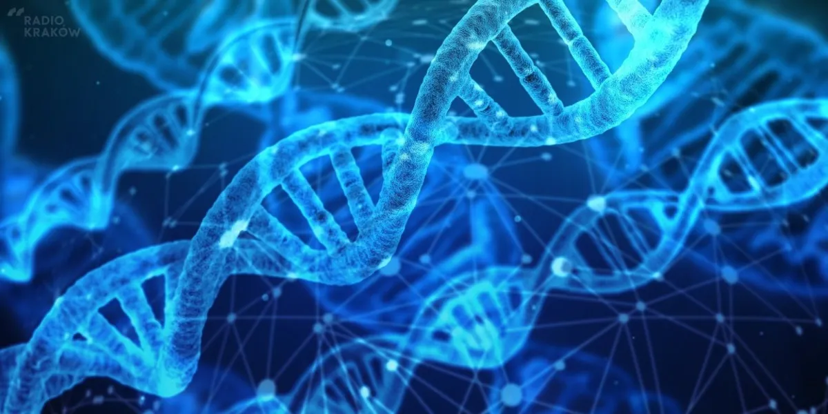 Zrozumieć genetykę sądową - co DNA może powiedzieć o przestępstwie? 