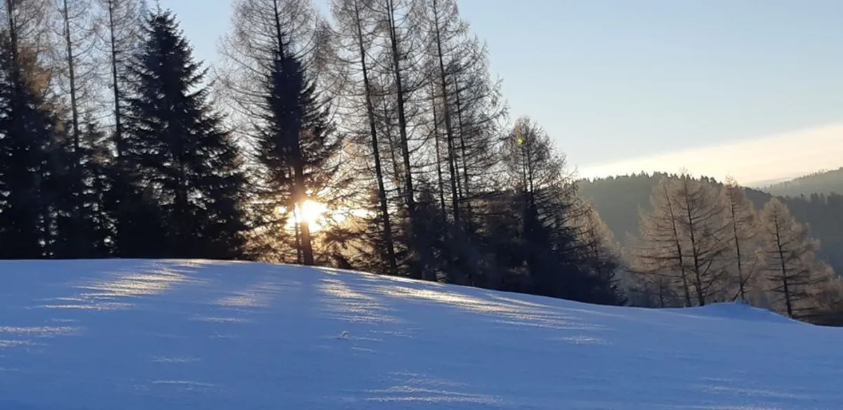 Kolejna ofiara mrozów w Małopolsce