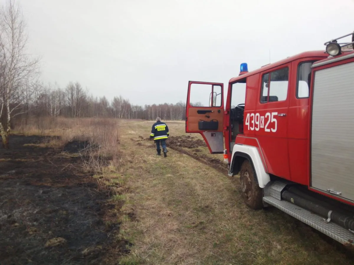 Pamiętajmy! Wypalanie traw jest karalne   