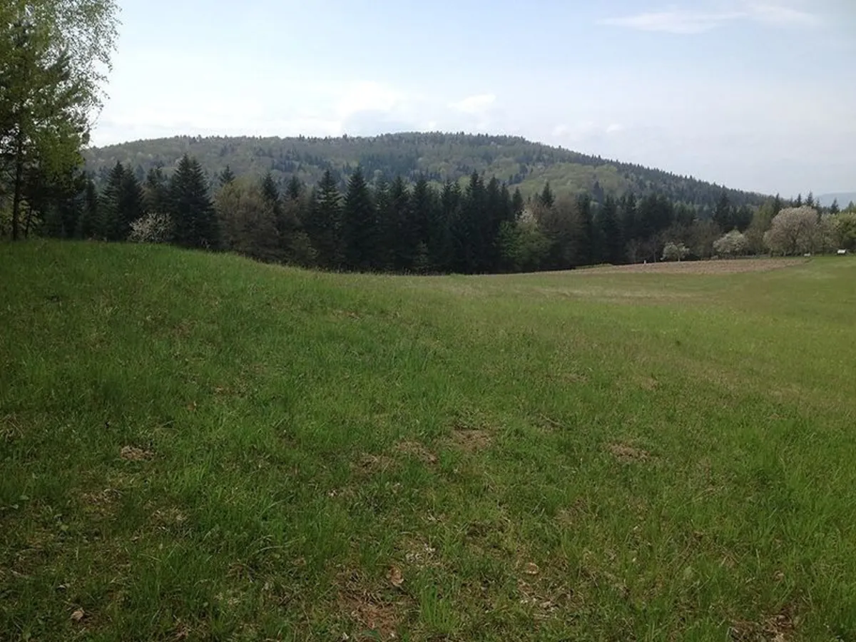 Audycja z dn. 18.04.2021 r.