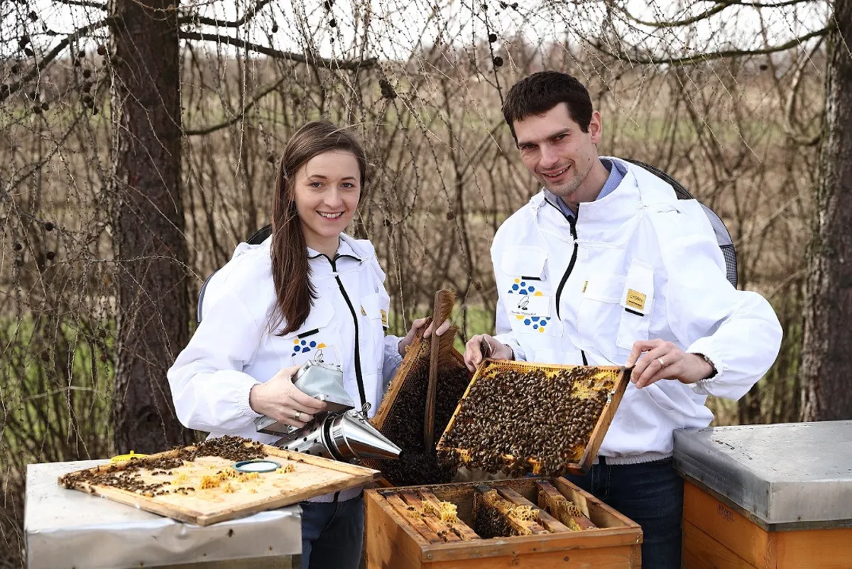 Przystanek Kulinarny przytula pszczoły na zimę