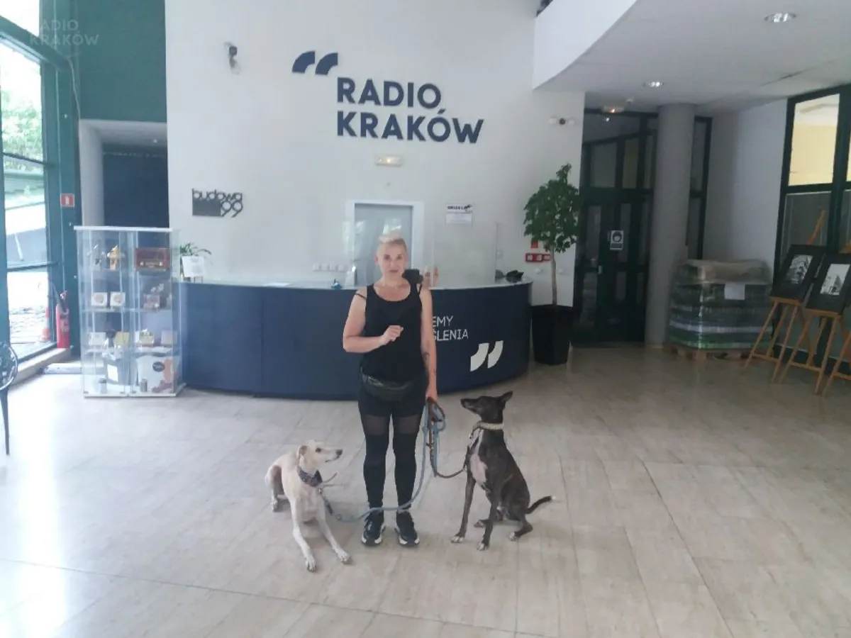 Charty w Klinice Zdrowego Chomika