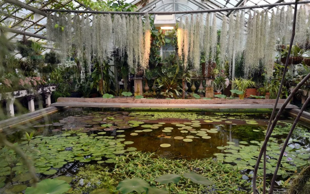 #47 - Ogród Botaniczny Uniwersytetu Jagiellońskiego