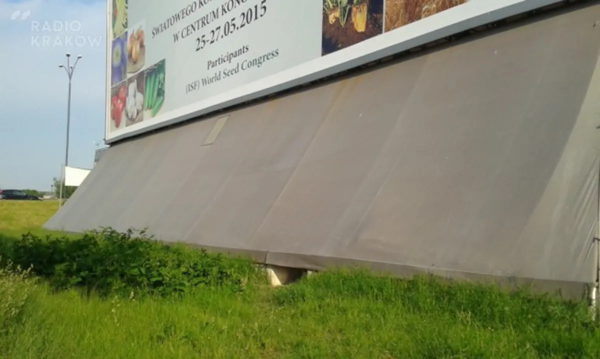 Zostawmy bezdomnych z bilbordu, zajmijmy się samowolą budowlaną
