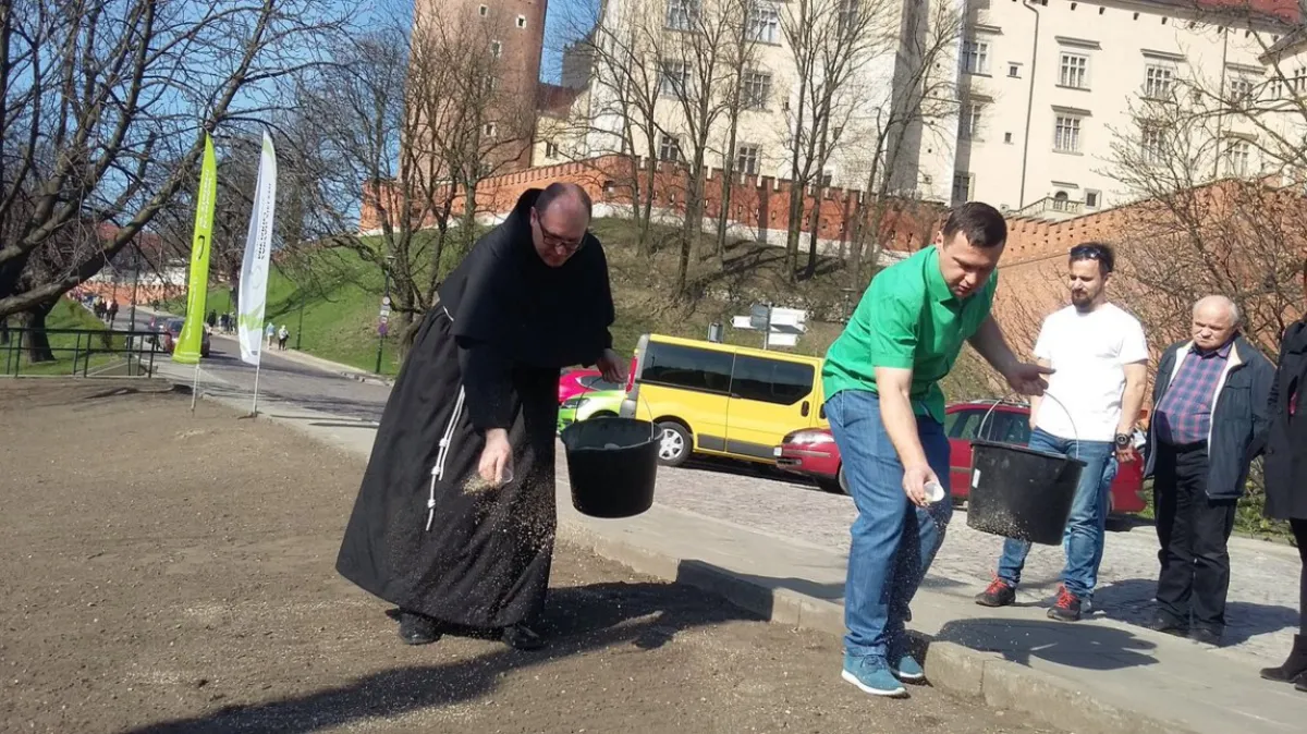 Pod Wawelem zasiano łąkę papieską. Za miesiąc zobaczymy tam pierwsze kwiaty