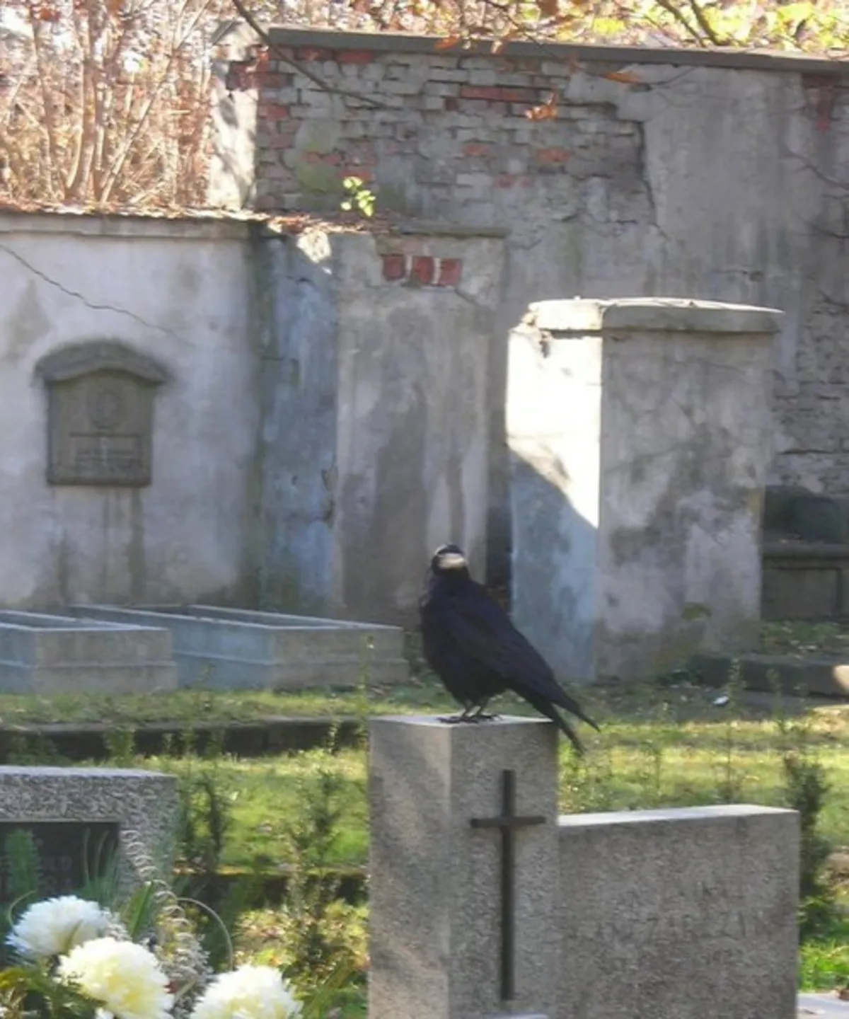 Małoplskie nekropolie