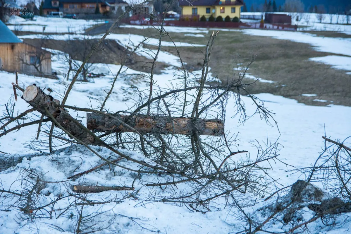 IMGW: Uwaga na silny wiatr w całej Polsce