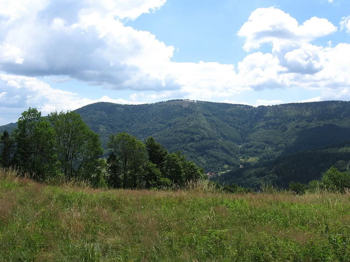 Audycja z dn. 13.06.2021 r.