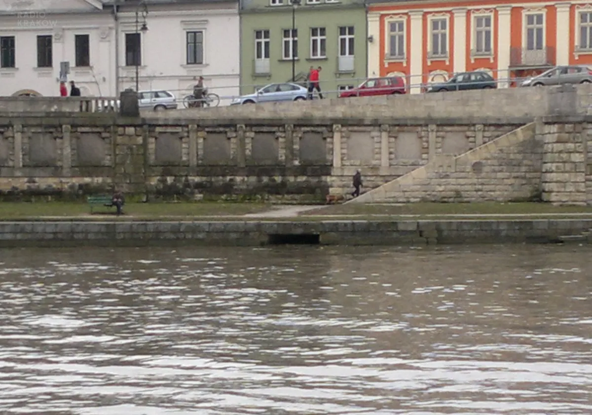 Młynówka Wilgi