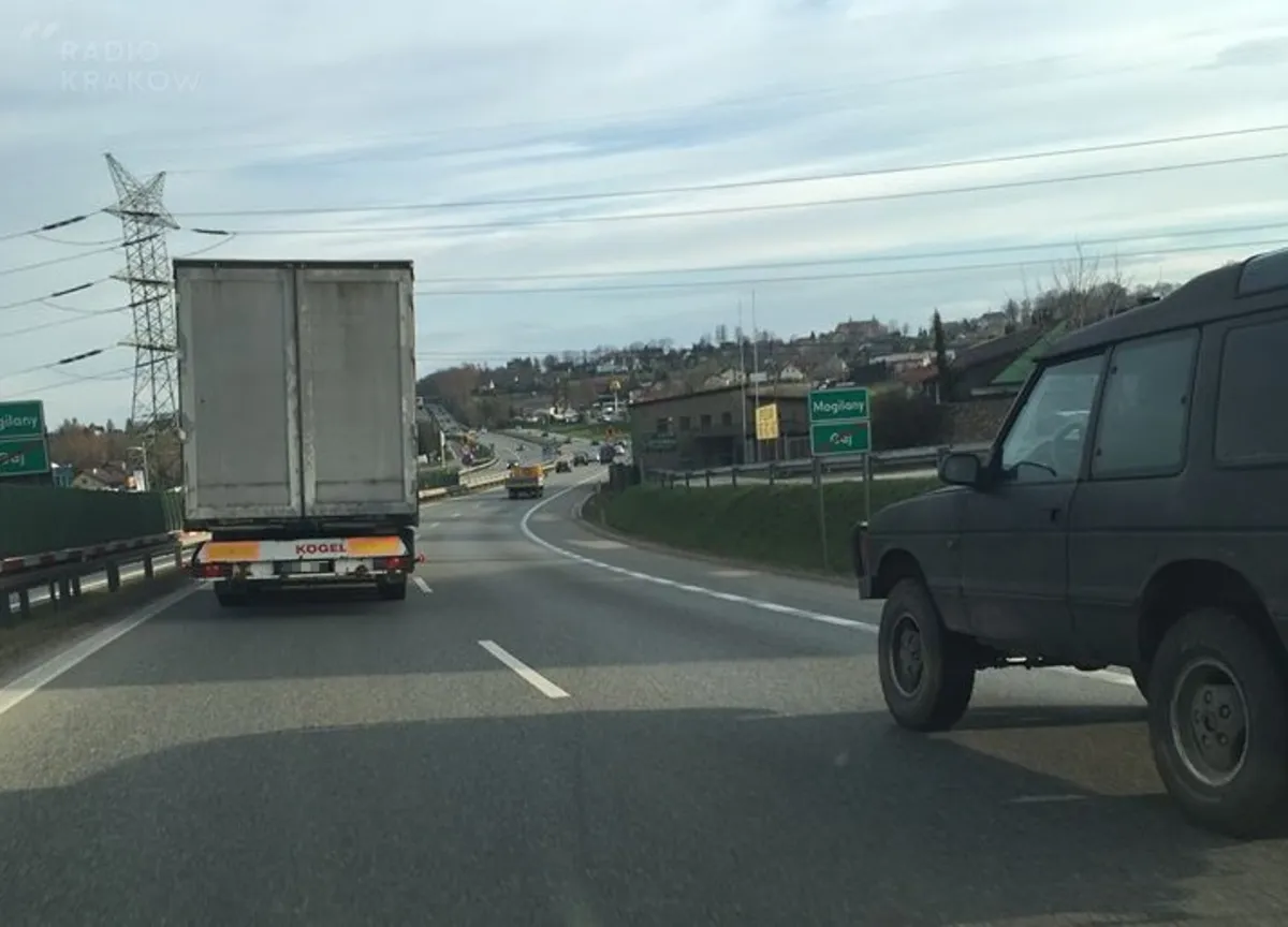 Przepis na środę: Wyścigi żółwi 