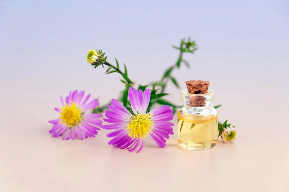 Trendy perfumiarskie