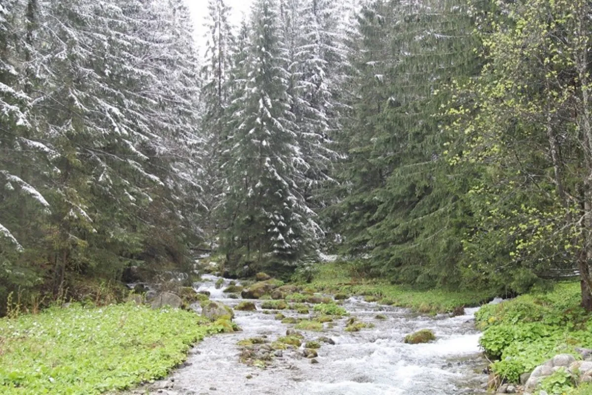 śnieg w maju