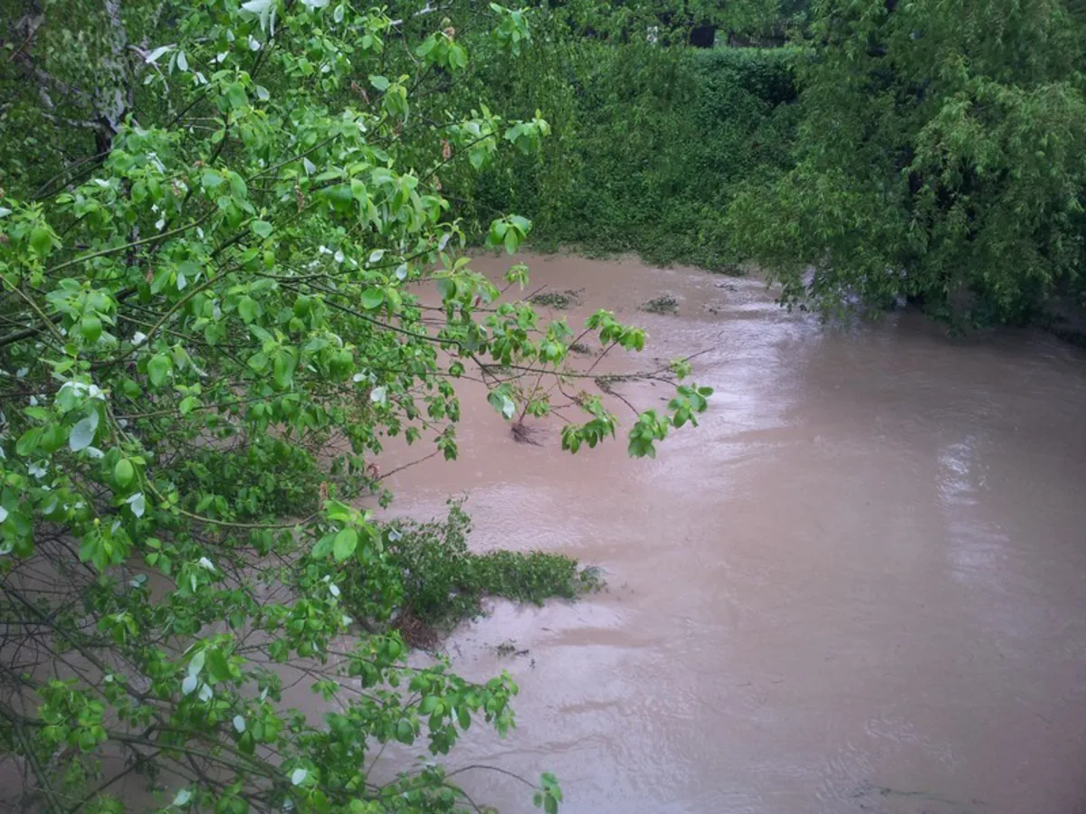 Raba wylewa i zalewa park