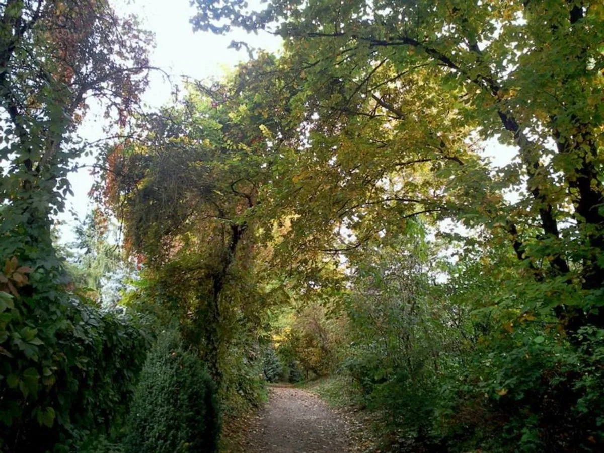Rydlówka w fotografii Aleksandra Zagdańskiego