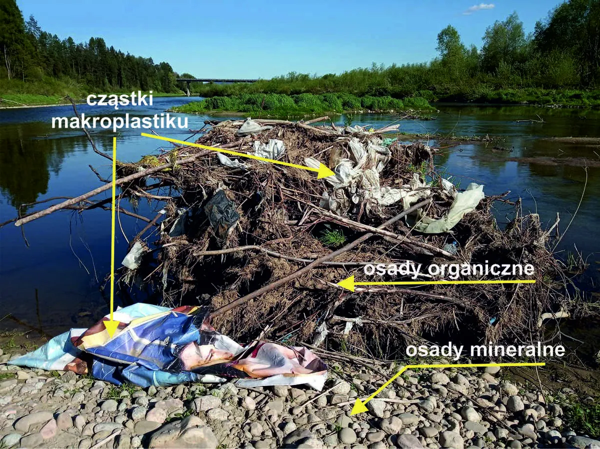 Badania makroplastiku w karpackich rzekach
